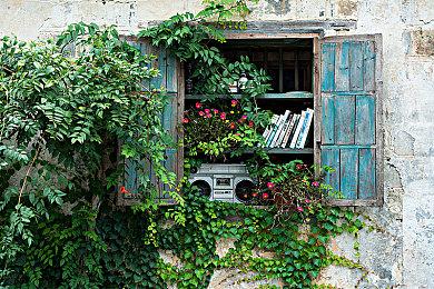 星露谷物语发行商新作《巫师布鲁克》上架Steam